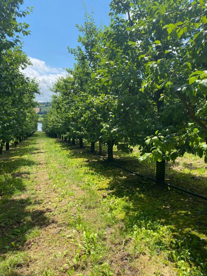Gite La Garrigue Montbarla Ngoại thất bức ảnh